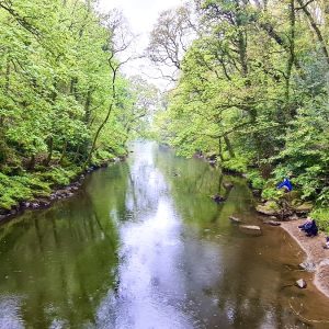 Dinnseanchas - The Story of Place