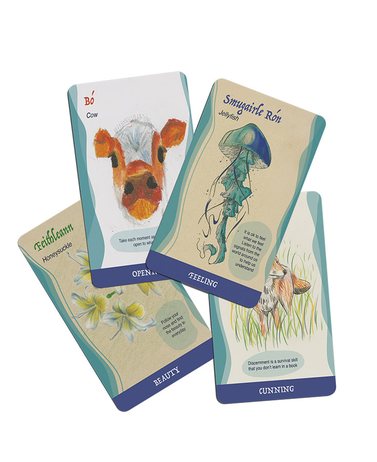 cards